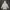 Casual Track jacket Pria gray photo 5