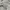 Casual Track jacket Pria gray photo 4