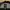 Pedla Jersey - Off the grid photo 3