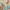 ZERO Flower Motive Pleats Dress photo 7
