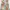 ZERO Flower Motive Pleats Dress photo 6