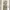 ZERO Flower Motive Pleats Dress photo 4