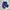 Stussy Streetwear Sportswear Sweatpants & Joggers Pria blue photo 2
