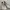 Sneakers Skechers Delta Chuisoning Beige 47 Original 
