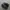 adidas superstar photo 1