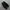 adidas superstar photo 3