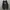 adidas superstar photo 5