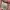 Burberry Luxury Casual Track jacket Wanita pink photo 6