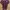 T-roon 20 photo 2