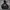 Hoodie Lmc backprint photo 1