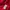 Hoodie Gap Red photo 6