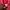 Hoodie Gap Red photo 5
