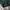Casual Bomber jacket Pria green photo 4