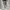 DIESEL WHITE ZIPPER JACKET | OUTERWEAR | AFM photo 6