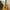 Classical Yamaha C40 Vintage + FREE Softcase
