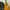 classical yamaha C40 vintage + FREE softcase photo 1