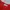 Blus Merah | Avenue Premium  photo 2