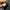 Nike Shox TL Green Bunglon photo 6