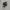 Salomon XT-6 Black Phantom photo 1
