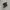 Salomon XT-6 Black Phantom