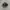 Salomon XT-6 Black Silver photo 2