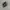 Salomon XT-6 Black Silver photo 1