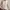 Jii Gloria Livi Blouse Oreo Tweed not Zara photo 1