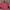 Kemeja Pink Kasual Pria – Lengan Panjang – Ukuran XXL photo 2