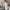 Yohana - Cold Shoulder Plain Ruffle Mini A-Line Dress