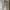 PullnBear CARGO PANTS BEIGE photo 6