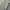 Polo Ralph Lauren Vintage Y2K Windbreaker Pria khaki photo 5