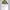 Polo Ralph Lauren Vintage Y2K Windbreaker Pria khaki photo 7