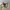 Polo Ralph Lauren Vintage Y2K Windbreaker Pria khaki photo 2