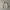 Polo Ralph Lauren Vintage Y2K Windbreaker Pria Khaki