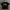 Tshirt Boxy
