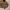 Dickies Duck Canvas Lined Detroit Jacket photo 2