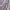 Ader Error 20ss Vader Zip Hoodie Beige Khaki photo 4