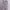 Ader Error 20ss Vader Zip Hoodie Beige Khaki photo 7