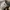 AIR JORDAN 1 LOW SE BEADED SWOOSH RETRO photo 8