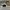 AIR JORDAN 1 LOW SE BEADED SWOOSH RETRO photo 3