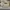 AIR JORDAN 1 MID RETRO SE GREY FOG AIR JORDAN 1 MID RETRO SE photo 5