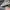 AIR JORDAN 1 MID RETRO SE GREY FOG AIR JORDAN 1 MID RETRO SE photo 7