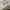AIR JORDAN 1 MID RETRO SE GREY FOG AIR JORDAN 1 MID RETRO SE photo 8