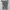 Celana Cargo Camo Columbia Titanium photo 5