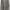 Classic Light Gray Shirt photo 7