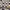 SKIPHOP Pattern Slingbag photo 3