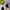 Sendal Slip On Wanita  photo 2