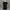 The first people photo 4
