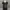 The first people photo 1