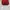 Snapback SF 49ERS New era x NFL  photo 3